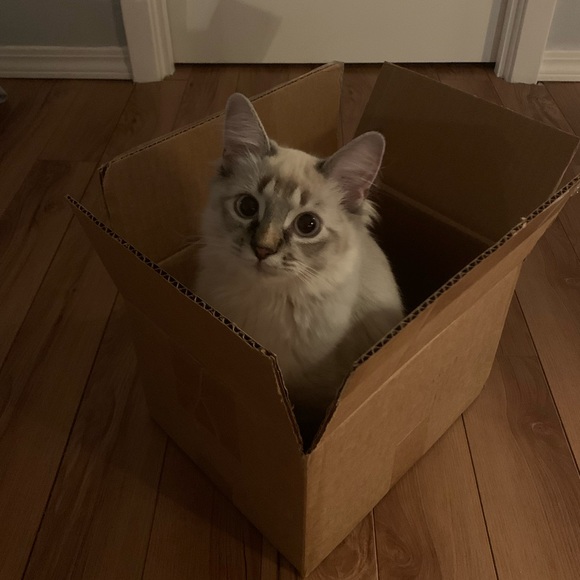 Read me! - Picture 1 of 3